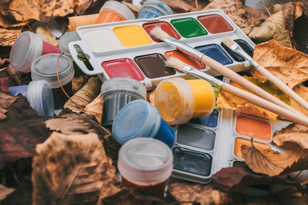 Set of watercolor paints and paintbrushes for painting closeup on the background of autumn leaves