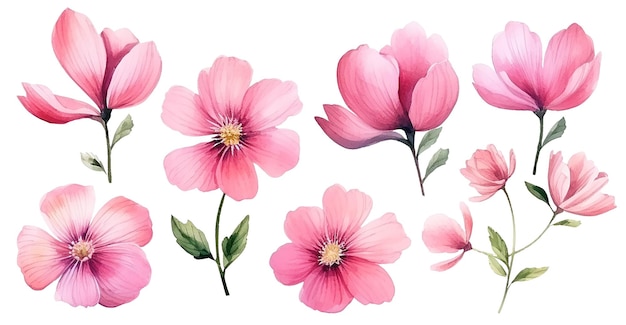 Photo set of watercolor pink flowers abstract flowers brush stroke