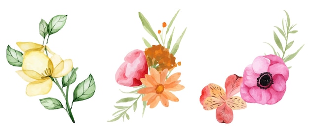 Set Of Watercolor Rose Flowers on a White Background