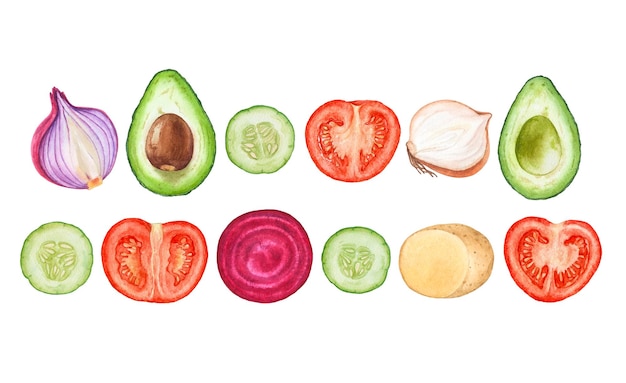 Set of watercolor vegetable slices isolated on white background Avocado tomato cucumber etc