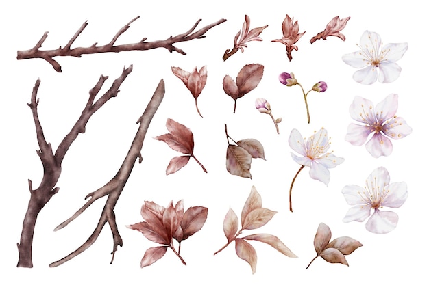 Set of Watercolor viva magenta cherry blossoms elements