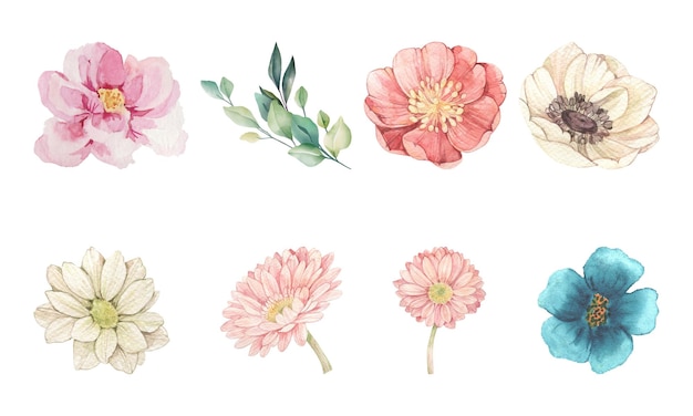 Set of Watercolor wildflowers delicate botanical illustration pattern