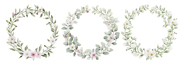 Photo set of watercolor wreaths with flowers and leaves