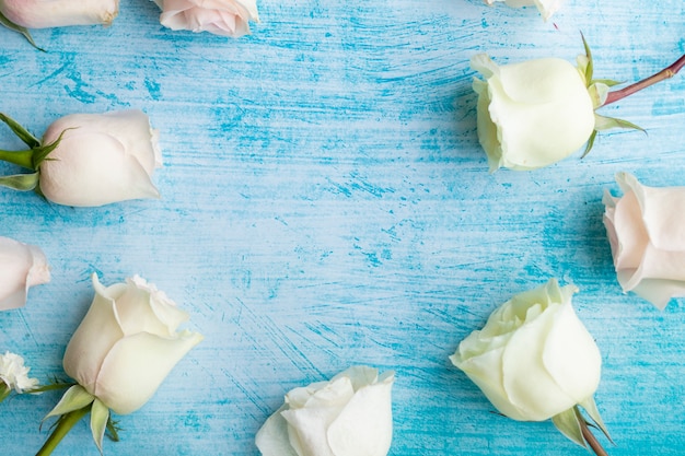 Set of white roses on aquamarine background