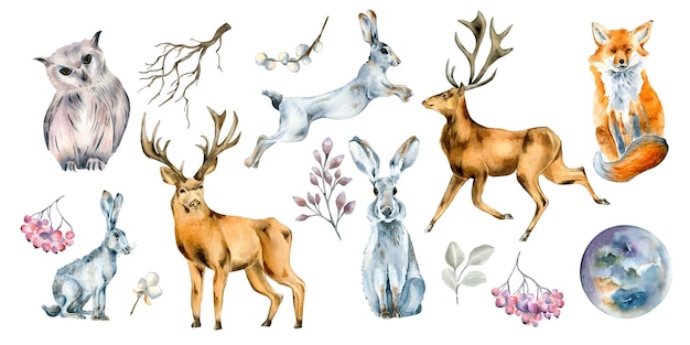 Set of wild animals and forest plants watercolor illustration isolated on white