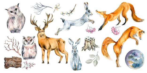 Photo set of wild animals and forest plants watercolor illustration isolated on white