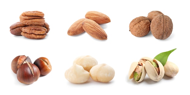 Set with different tasty nuts on white background Banner design