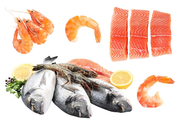 set with fresh raw dorado fish and other tasty seafood on white background