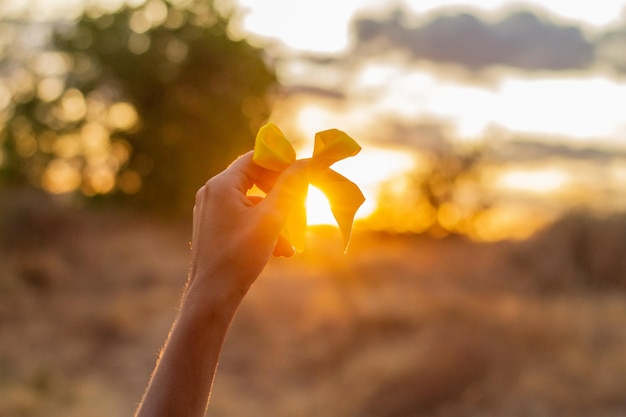 Photo setembro amarelo
 yellow september 
 life is the best choice!