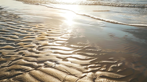 The setting sun casts a golden glow over the wet sand creating a beautiful and peaceful scene