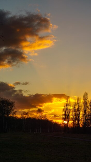 Setting sun on the outskirts of Berlin The sky seems to burn