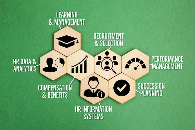 Photo seven basics of hrm or human resource management hr data recruitment performance succession