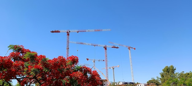 Seven construction cranes on the background of nature are involved in the construction of houses