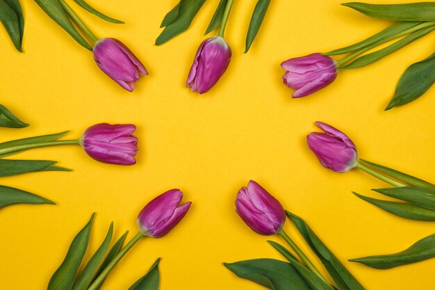 Seven pink tulips on yellow wall