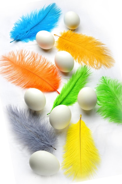 Seven white chicken eggs with yellow orange and green colored ostrich feathers on a white background