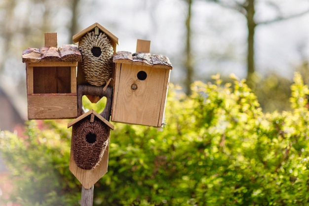 Several birdhouses and a bird feeder on a stick Blurred background