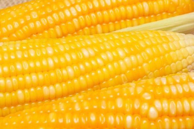 Several boiled corns on a table