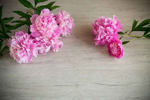 several branches of blooming pink peonies on a wooden background