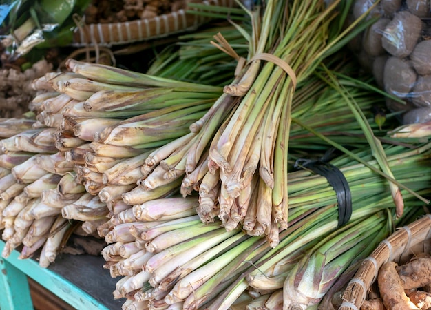 Several bunches of lemongrass Daun Sereh Cymbopogon citratus in the traditional market in Indonesia