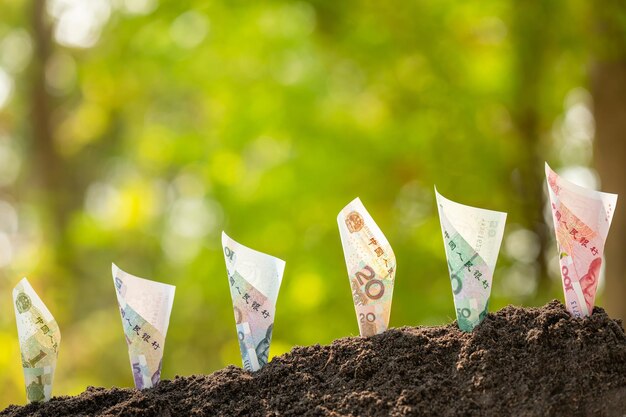 Photo several chinese banknote 1100 yuan growing in soil with green nature blur background business grow up concept