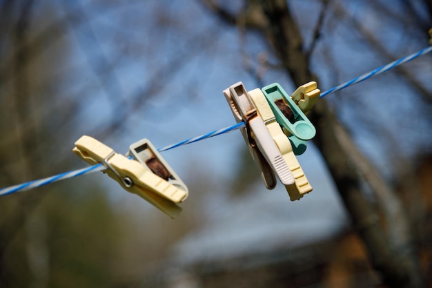 Several clothespegs pinned on a clothesline