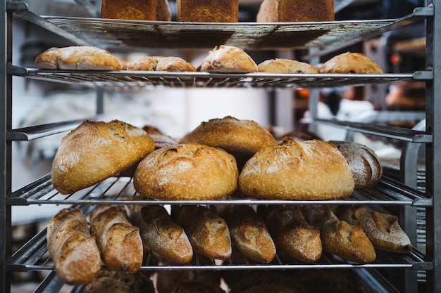 Several crusty bread pieces cooling in metal rack in artisan bakery