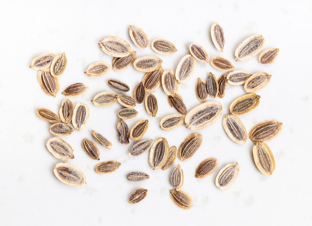 Several dried dill seeds close up on gray