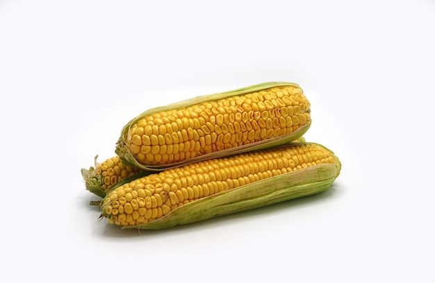 Several ears of corn on a light background Natural product Natural structure Natural color Closeup