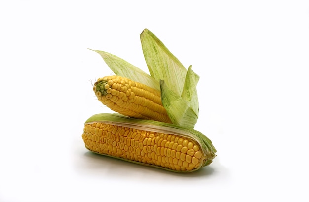 Несколько початков кукурузы с листьями на светлом фоне Натуральный продукт Натуральная структура Натуральный цвет Крупный план