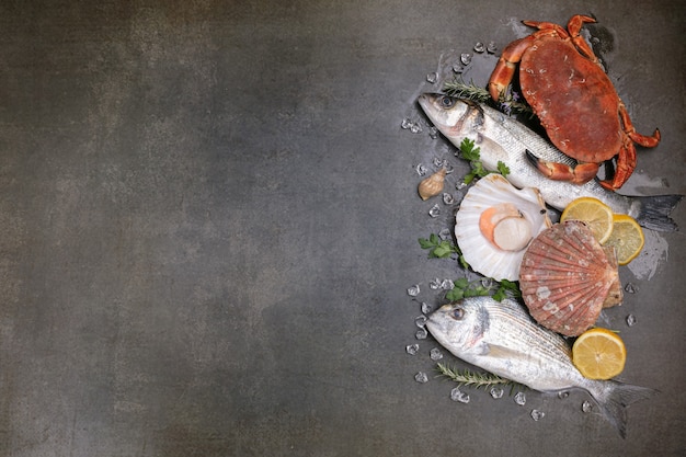 Several fishes, crab and shells on a black background