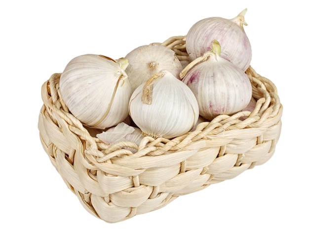 Several garlic onions in a basket isolated