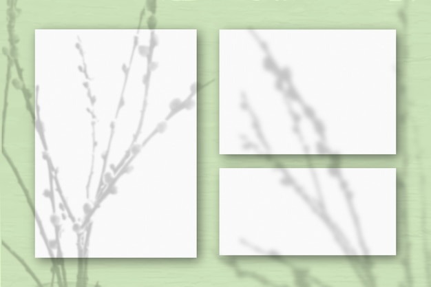 Несколько горизонтальных и вертикальных листов белой фактурной бумаги на фоне светло-зеленой стены. Естественный свет отбрасывает тени от веток ивы. Плоская планировка, вид сверху. Горизонтальная ориентация