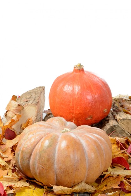 Several pumpkins with autumn leaves