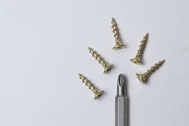 several screws and a bit from a screwdriver lie on a light background. close-up.