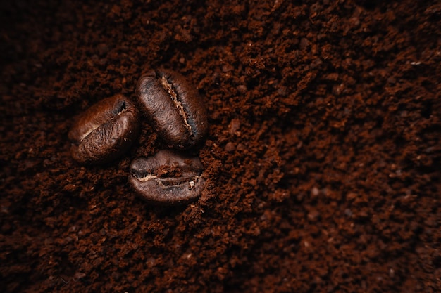 Diversi chicchi di caffè interi giacciono sul caffè macinato pubblicità del caffè con spazio per copiare caffè crudo