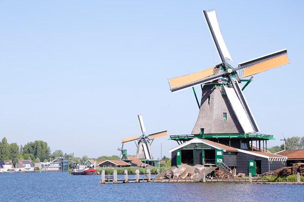 사진 푸른 하늘을 배경으로 zaanse schans의 여러 풍차 네덜란드