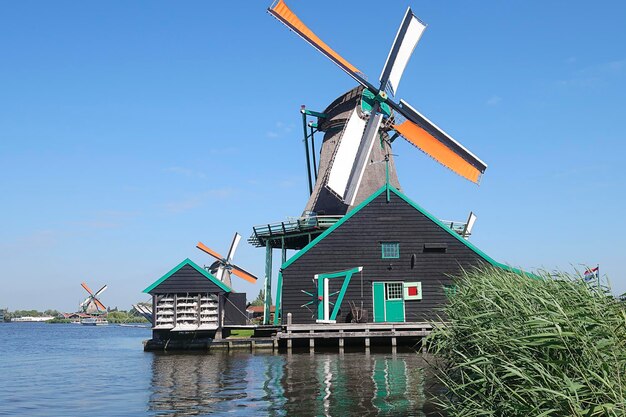 사진 파란 하늘을 배경으로 zaanse schans 마을의 여러 풍차 네덜란드