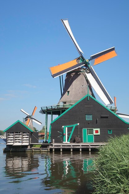 사진 파란 하늘을 배경으로 zaanse schans 마을의 여러 풍차 네덜란드