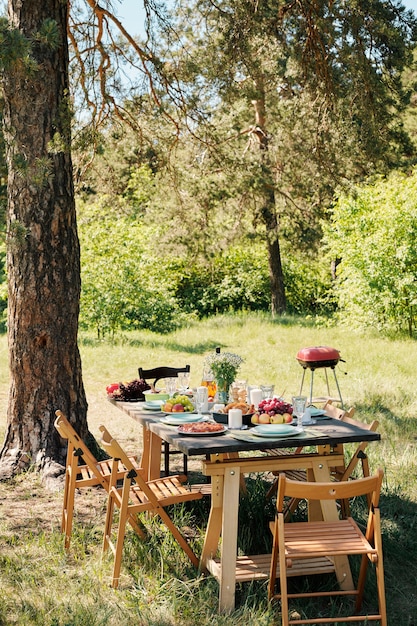 Several wooden chairs aroung table served with homemade food and drinks for outdoor dinner under pine tree on sunny summer day