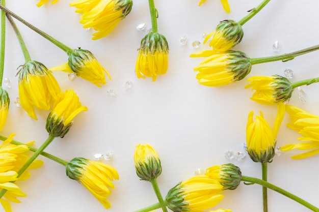 いくつかの黄色の菊の花は、空きスペースのある白い背景の上に配置されます。