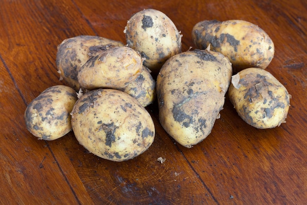 Several yellow raw potatoes