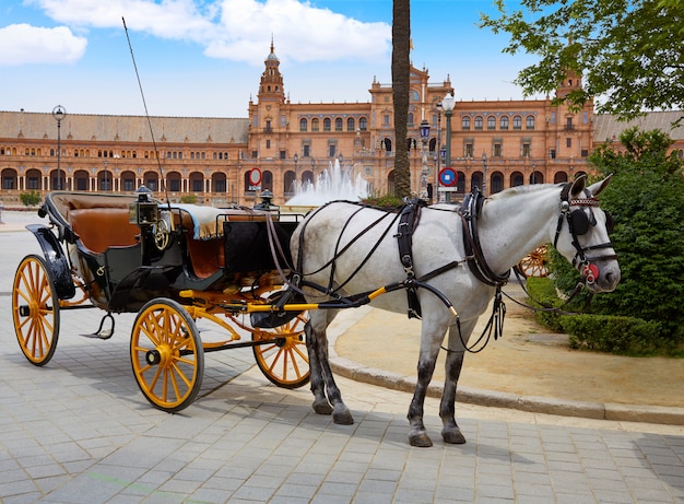 Sevilla plaza de espana andalusia spagna