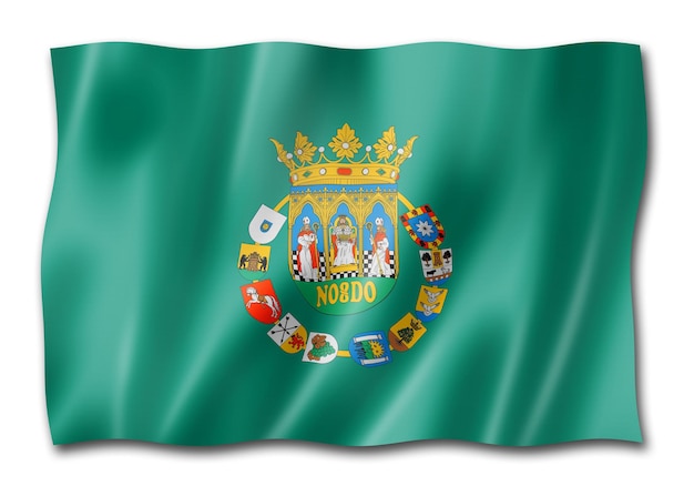 Photo sevilla province flag spain