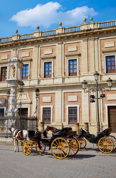 Seville Archivo Indias horse carriage Sevilla Spain