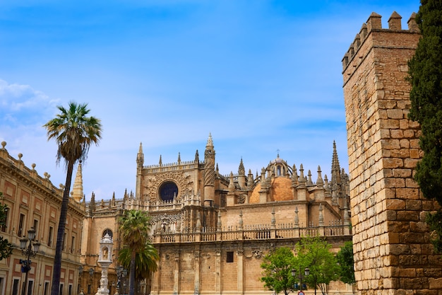 Foto cattedrale di siviglia e archivo indias sevilla