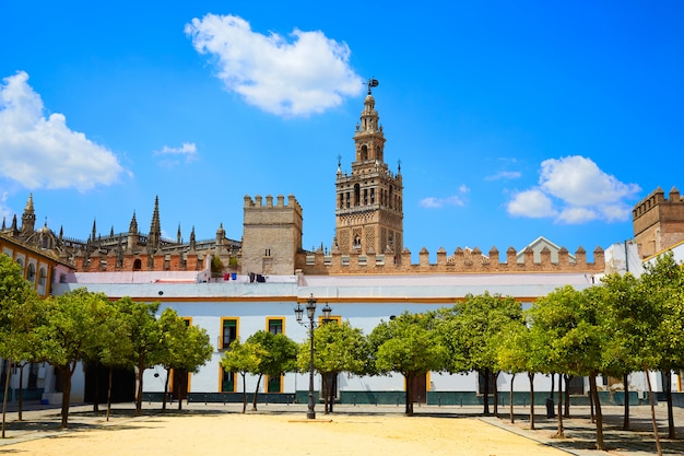 Seville cathedral Giralda tower from Alcazar