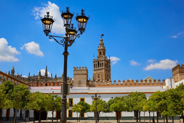 Cattedrale di siviglia torre della giralda da alcazar