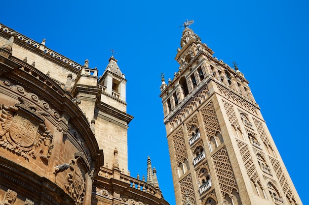 Seville cathedral giralda tower sevilla spain