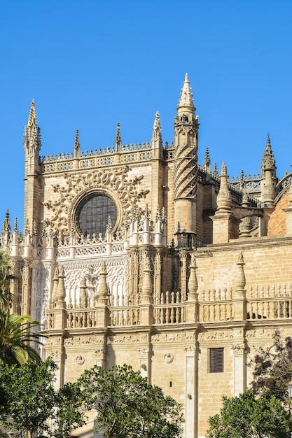 Seville Cathedral