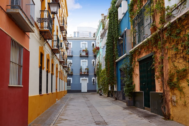 Facciate del barrio di siviglia macarena siviglia spagna